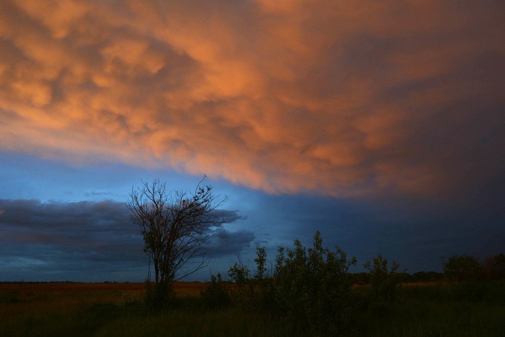 Photograph by Sветлана Афонина