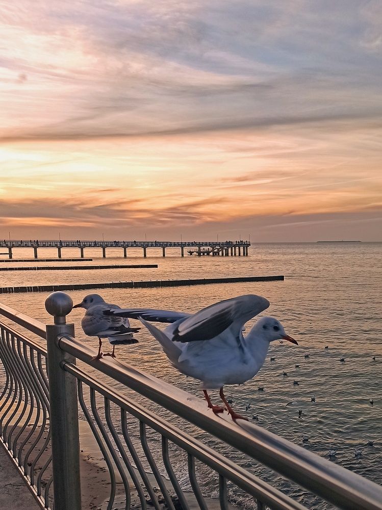 Photograph by Sergei Zhigulskii