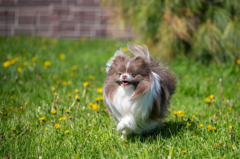 Photograph by Иван Грачев