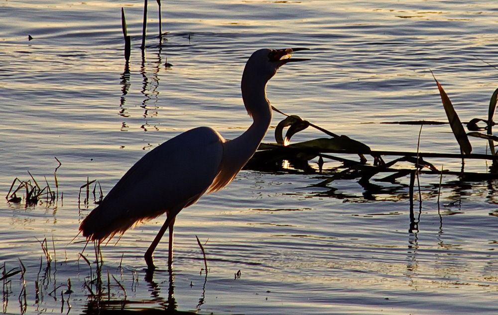 Photograph by Марина