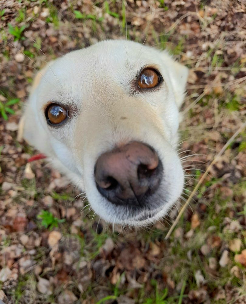 Photograph by Преснухина Екатерина