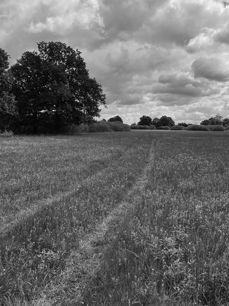 Photograph by Марина Тверитнева