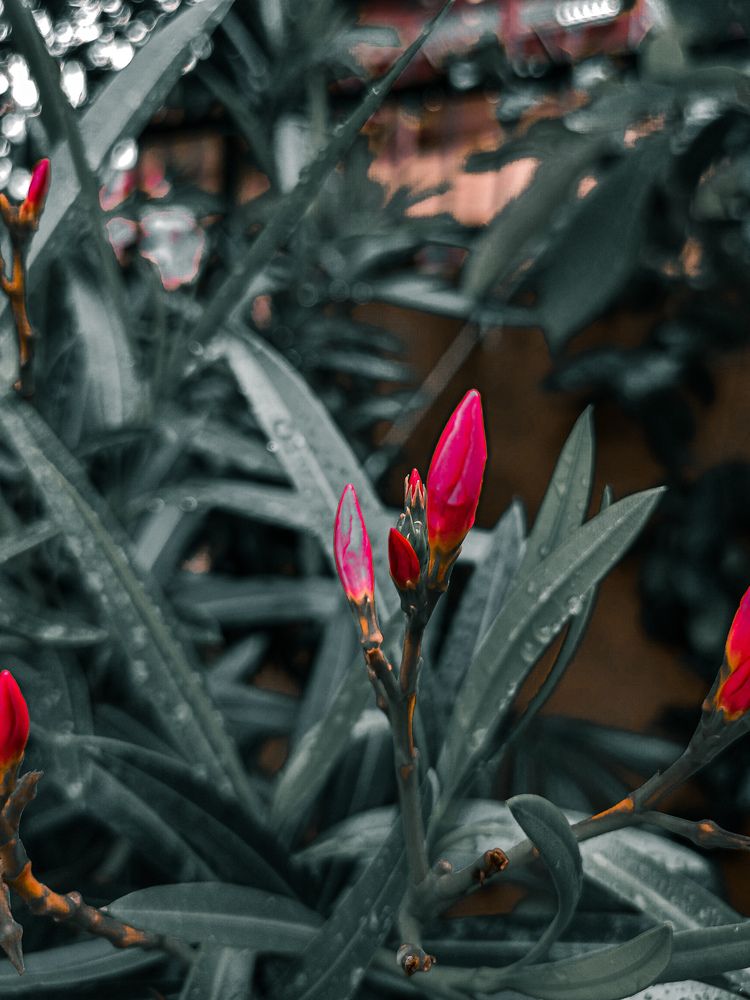 Photograph by Kirtija Rastogi