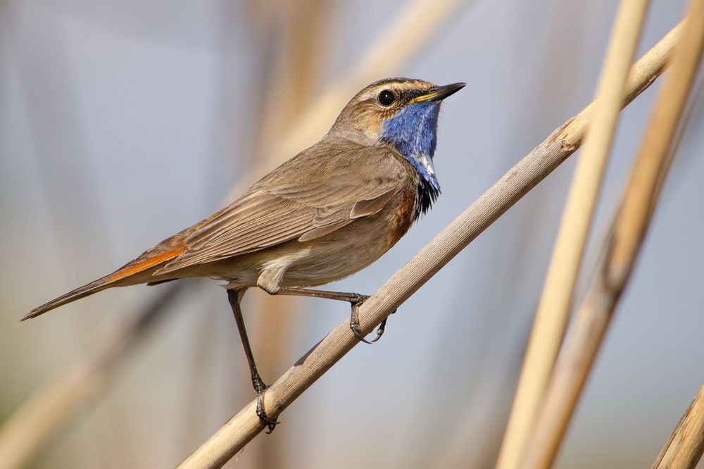 Photograph by Оксана Маховская