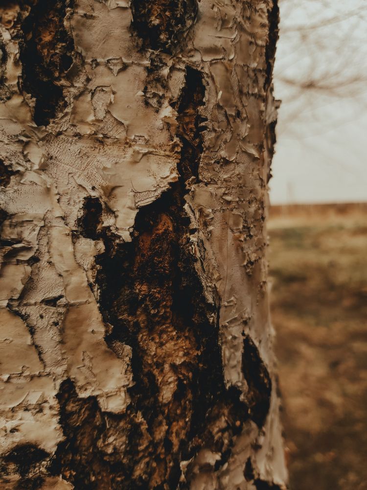 Photograph by Мария Лысых