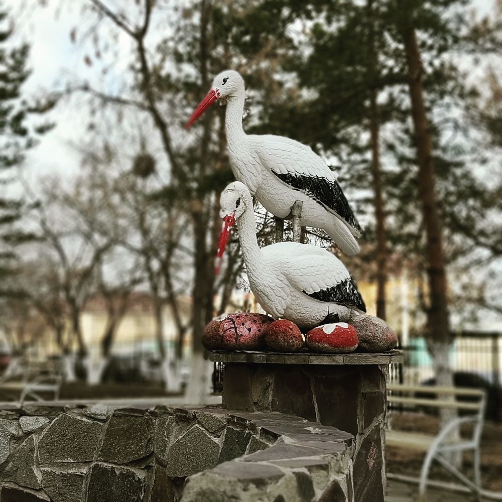 Photograph by Валентин Волк