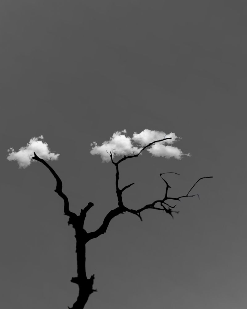 Photograph by HARSHDEEP MISHRA