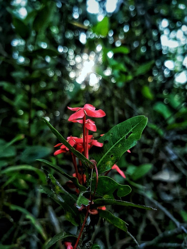 Photograph by Harshal Neman