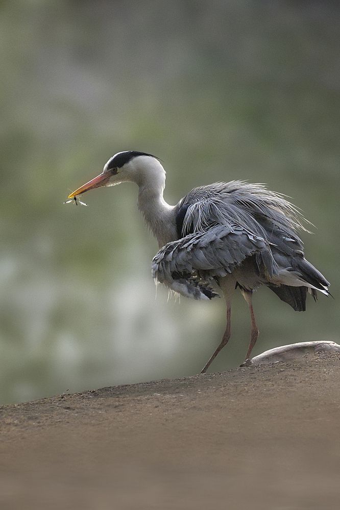 Photograph by Варвара Штерн