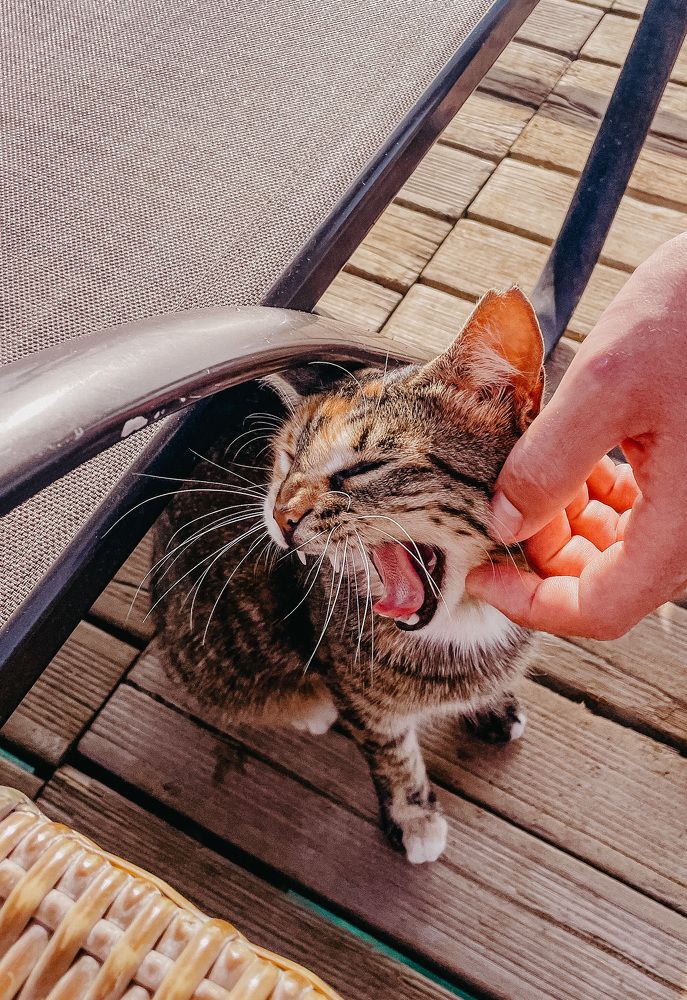 Фотография автора Oxana Yurasova