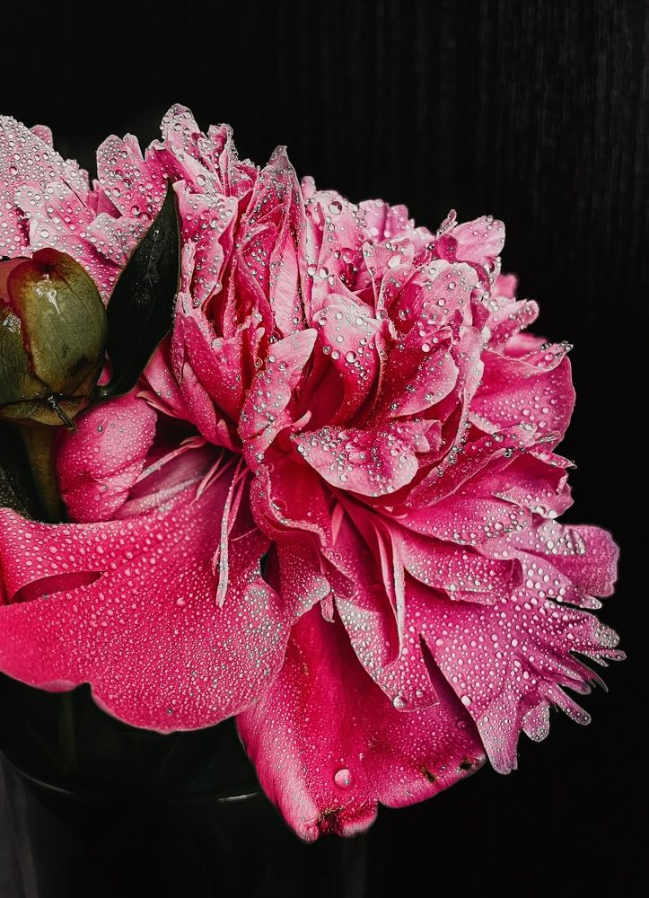 Фотография автора Oxana Yurasova