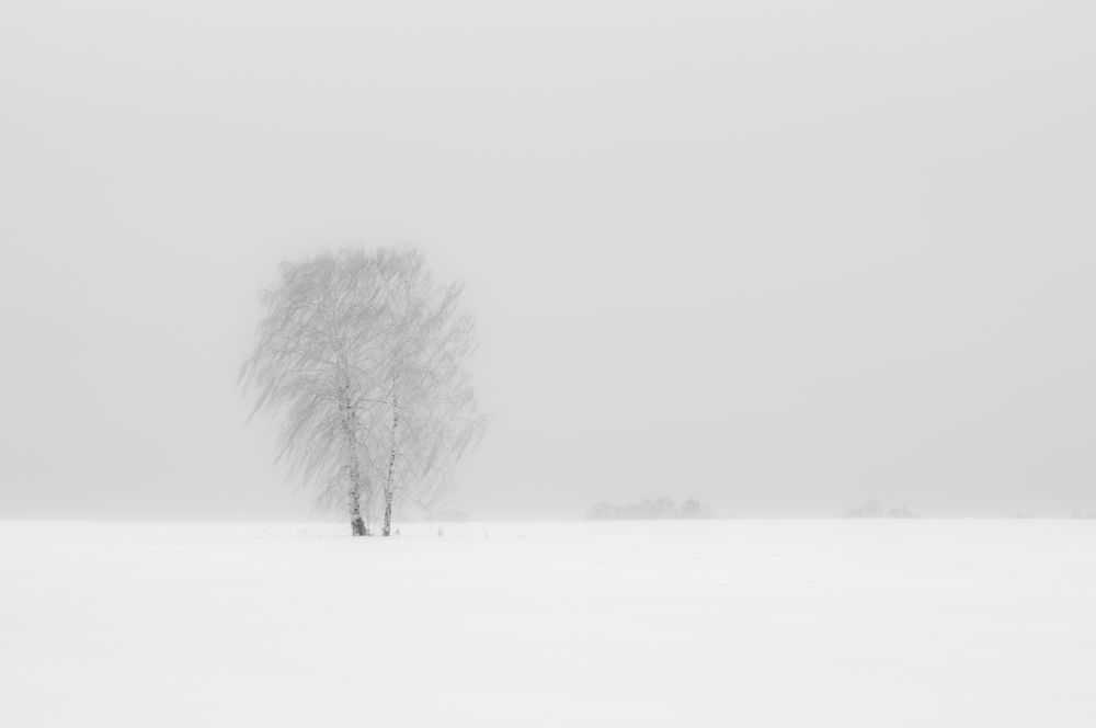 Photograph by Андрей Хаймин