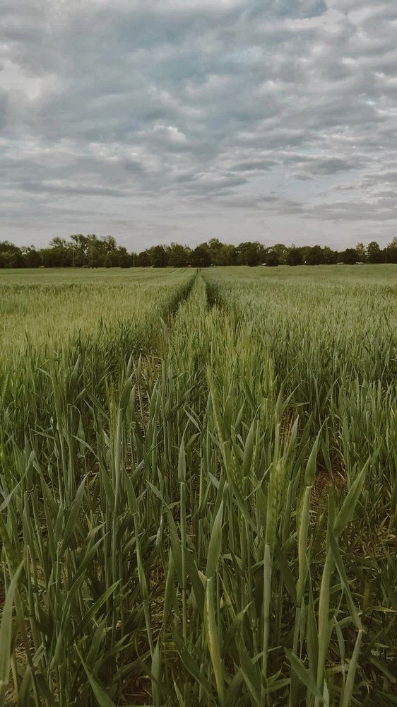 Photograph by Валерия Гарбуз