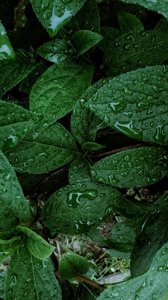 Photograph by Валерия Гарбуз