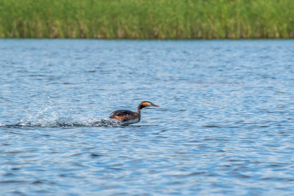 Photograph by Александр Козин