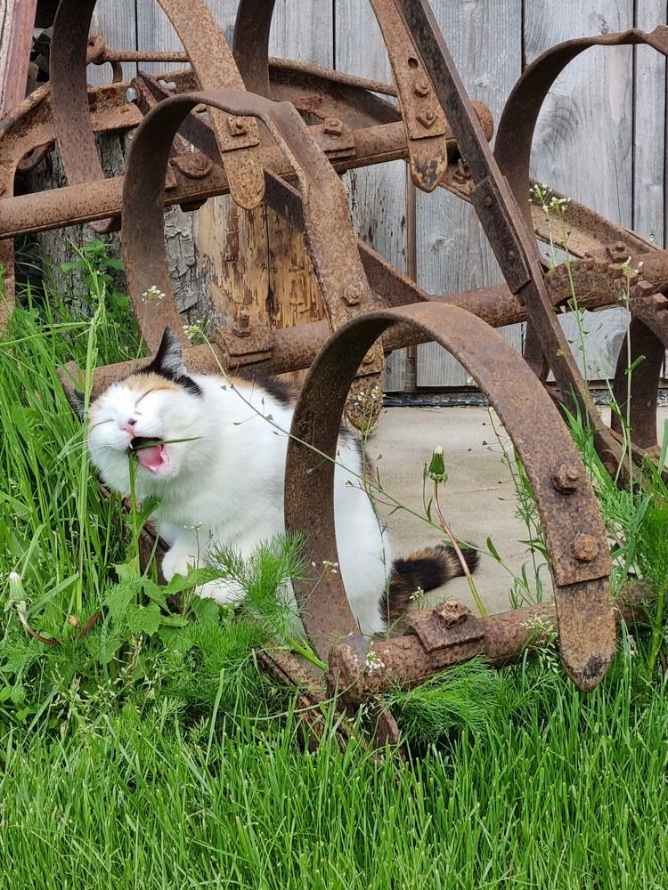 Photograph by Elena Tamošauskaitė