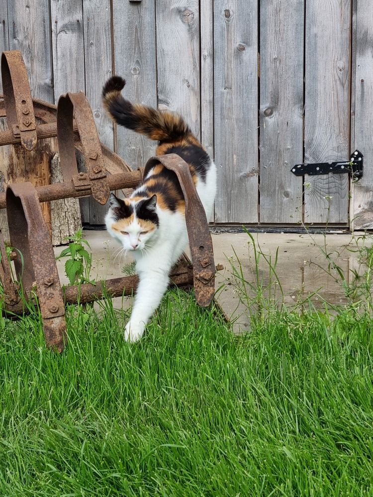 Photograph by Elena Tamošauskaitė