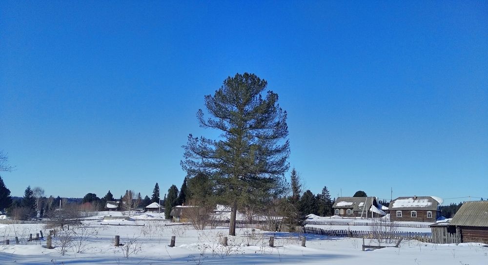 Photograph by Анатолий Майдуров