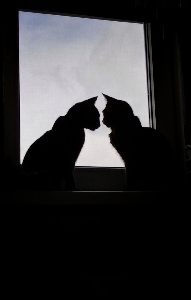 Photograph by Лада Филлипова