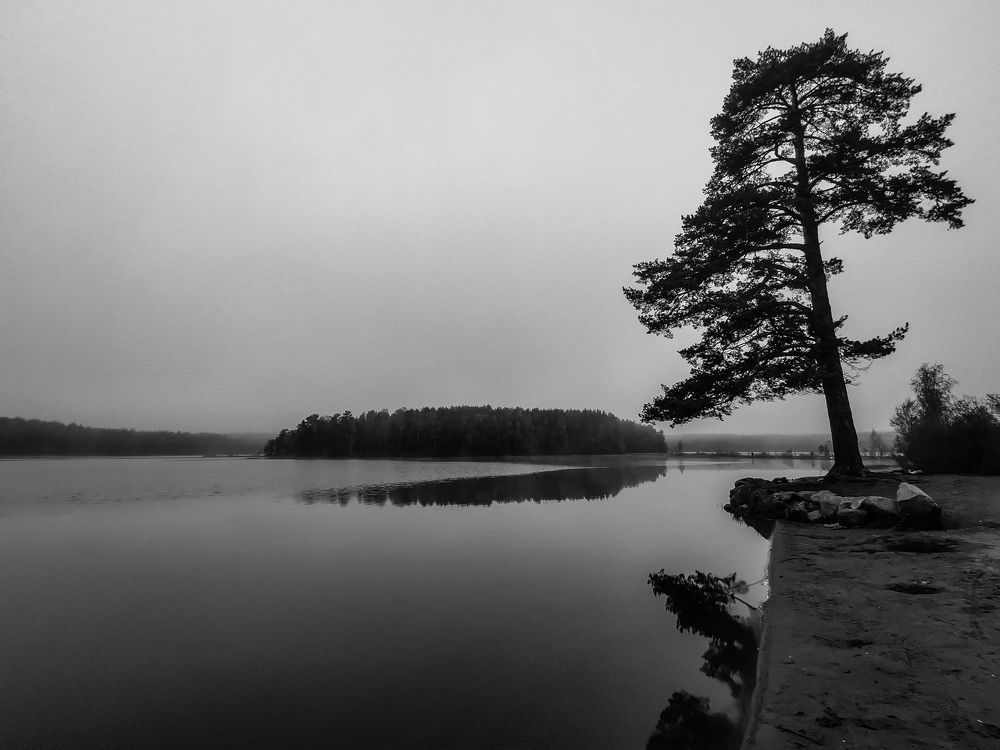 Photograph by Сергей Леканов