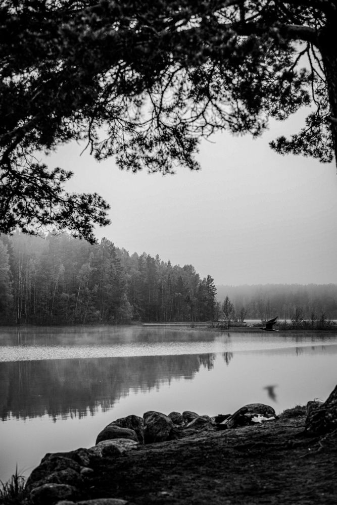 Photograph by Сергей Леканов