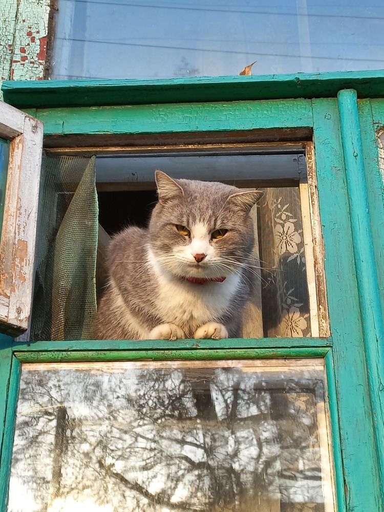 Photograph by Валерия Дидур