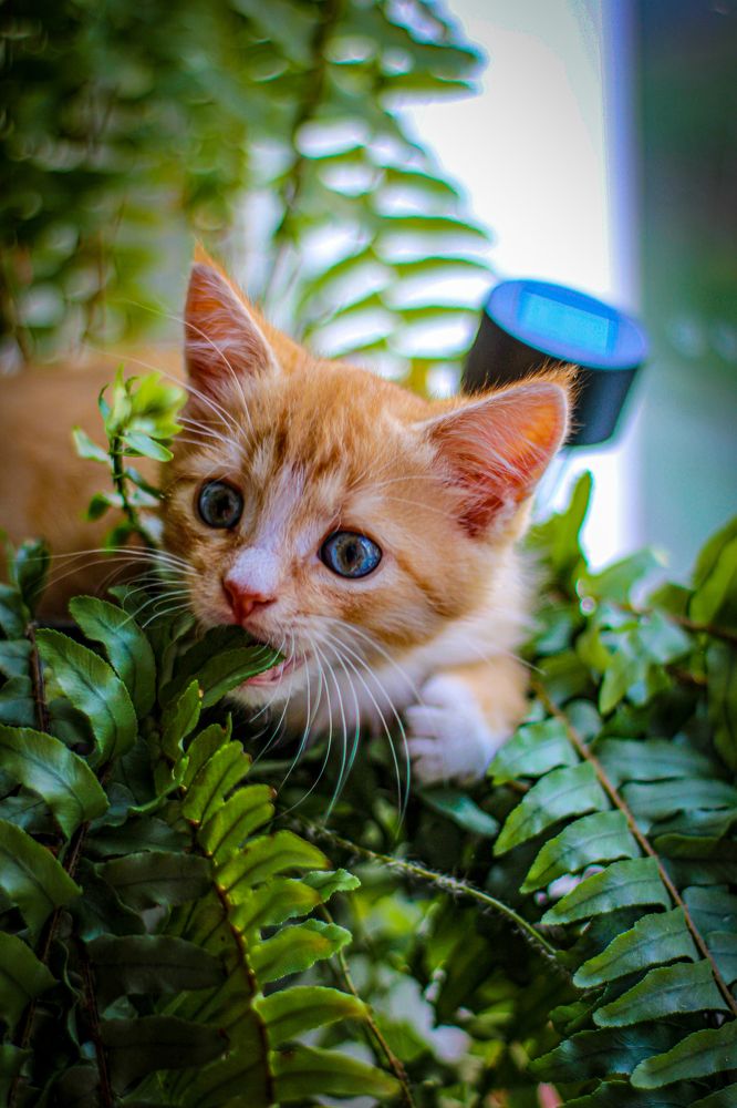 Photograph by Светлана Солдатченкова