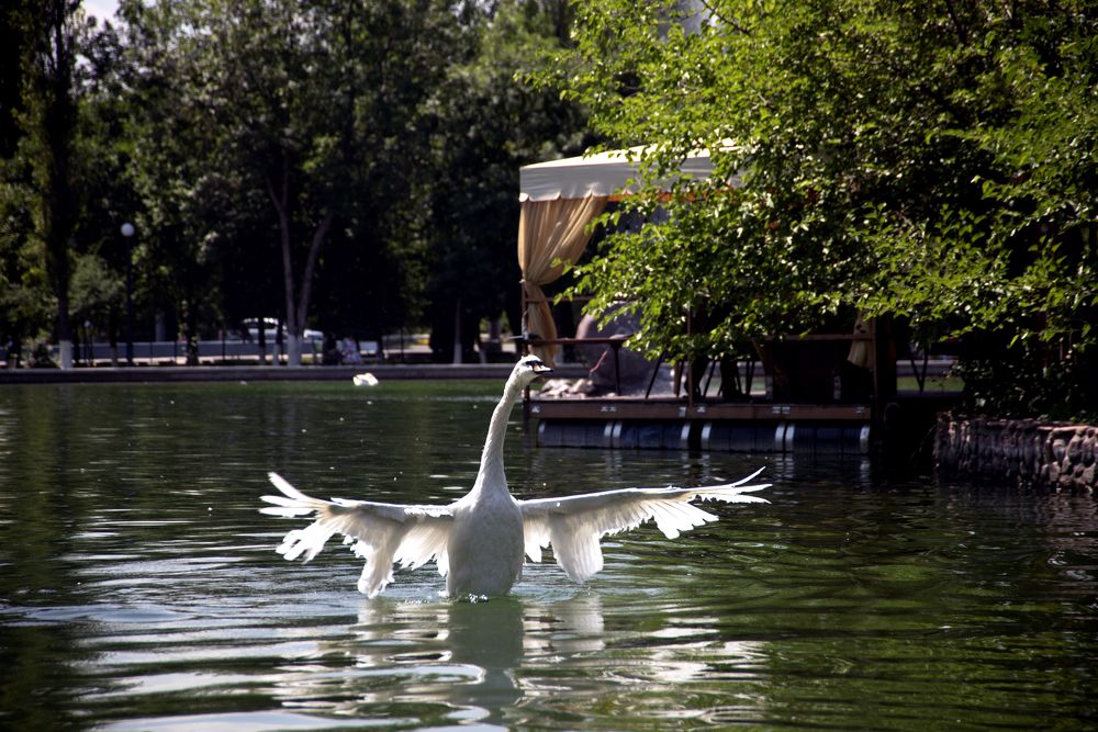 Photograph by Shukhrat Tulyaganov