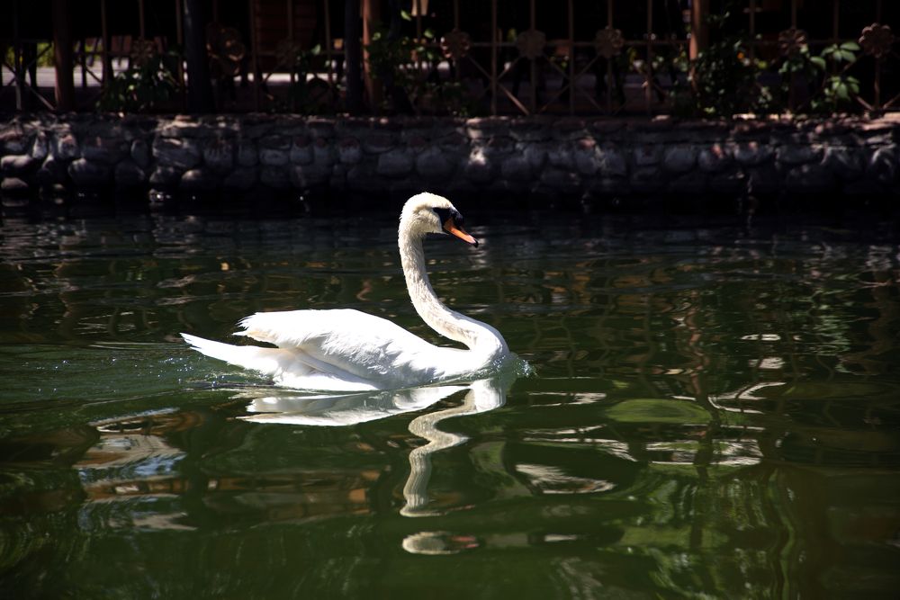 Photograph by Shukhrat Tulyaganov