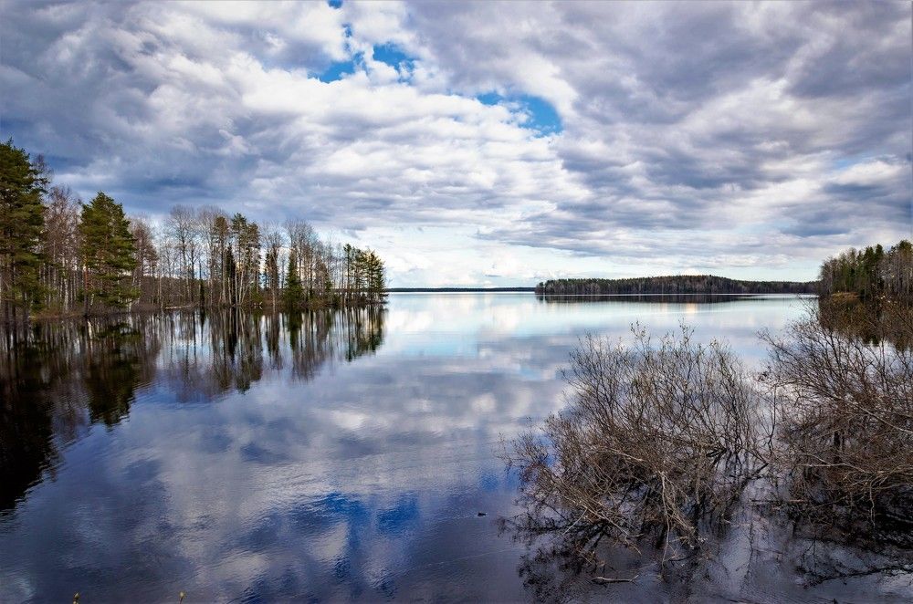 Photograph by Олег Менакер