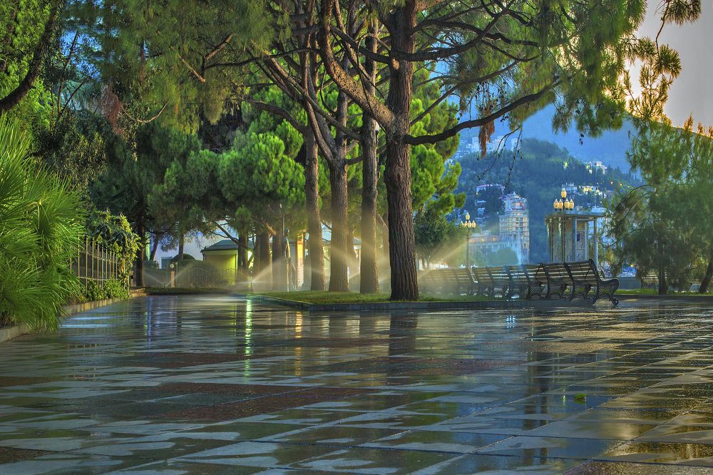 Утро после дождя