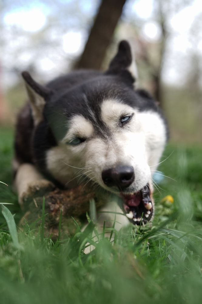 Photograph by Антонина Вишневская