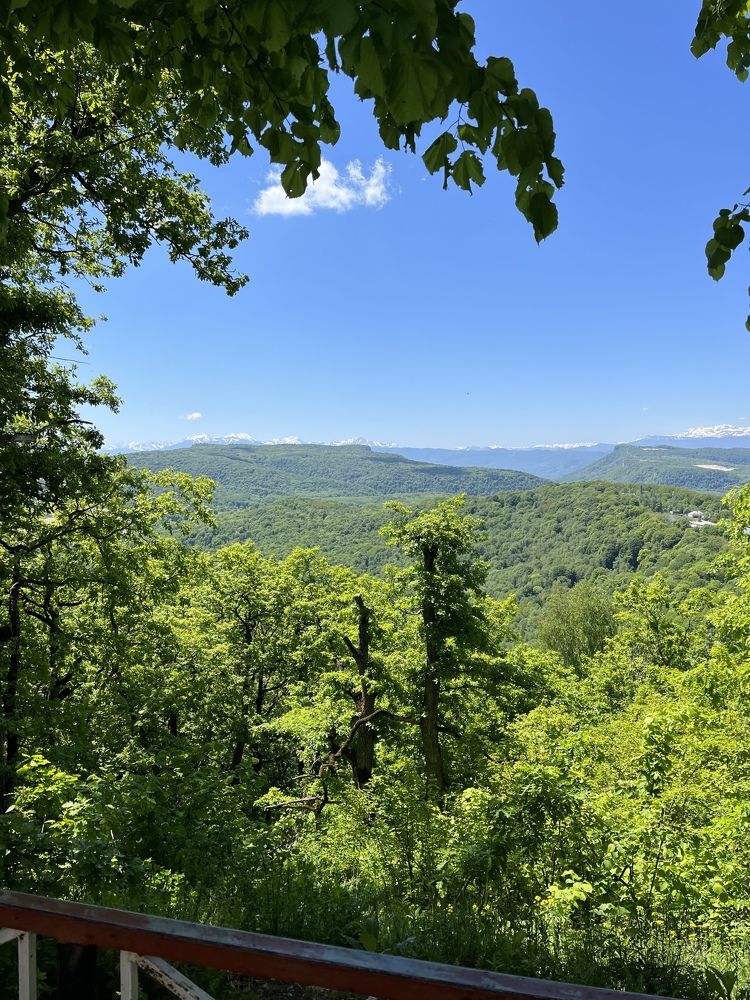 Photograph by Анастасия Кравцова