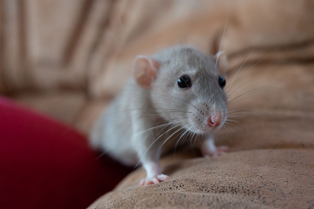 Photograph by Антонина Вишневская