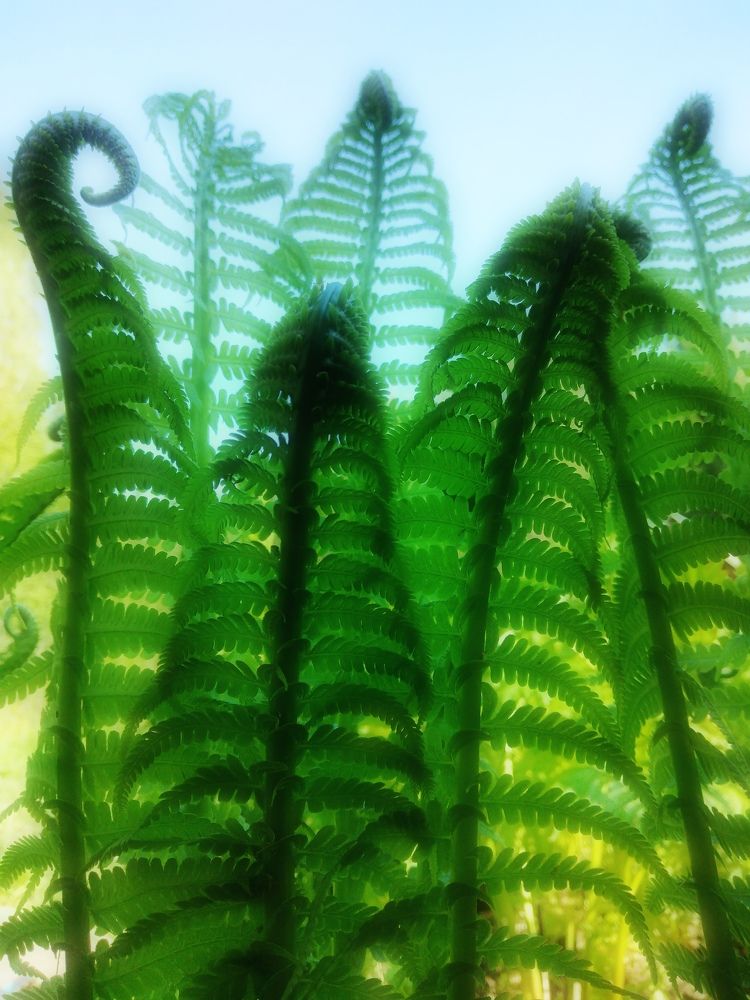 Моя атмосфера