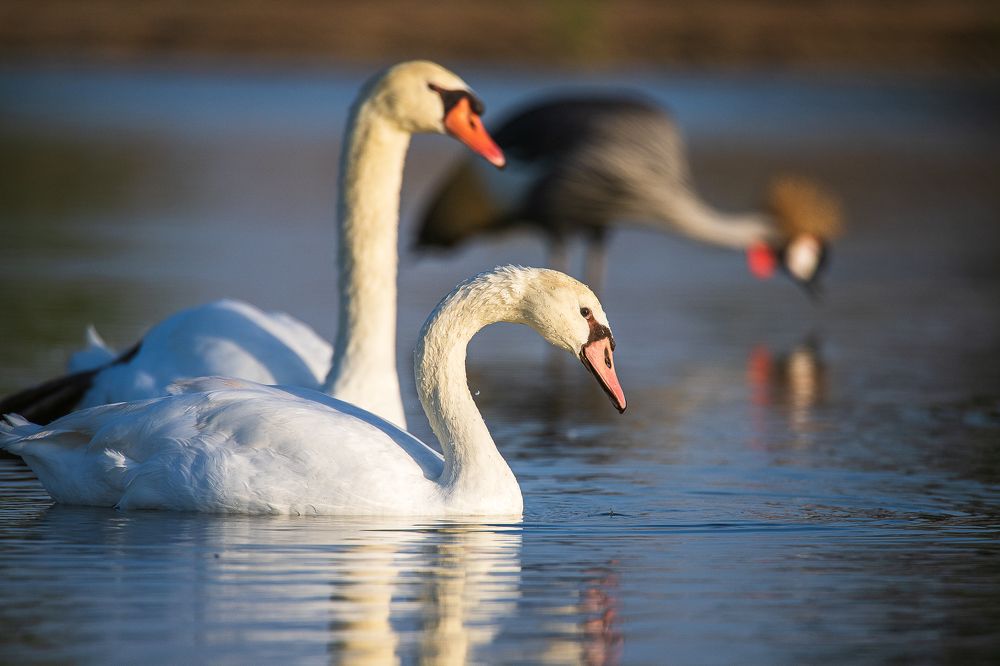 Photograph by Zubair Irshad