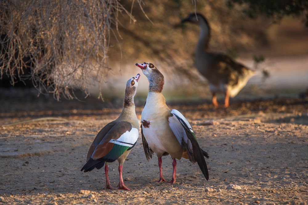 Photograph by Zubair Irshad