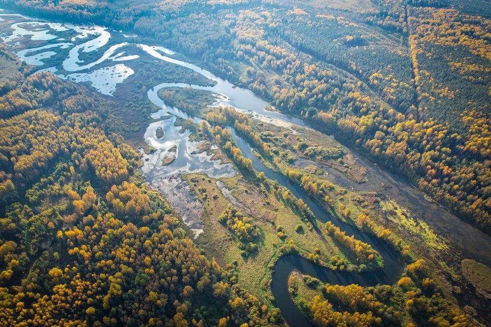 Китайский дракон