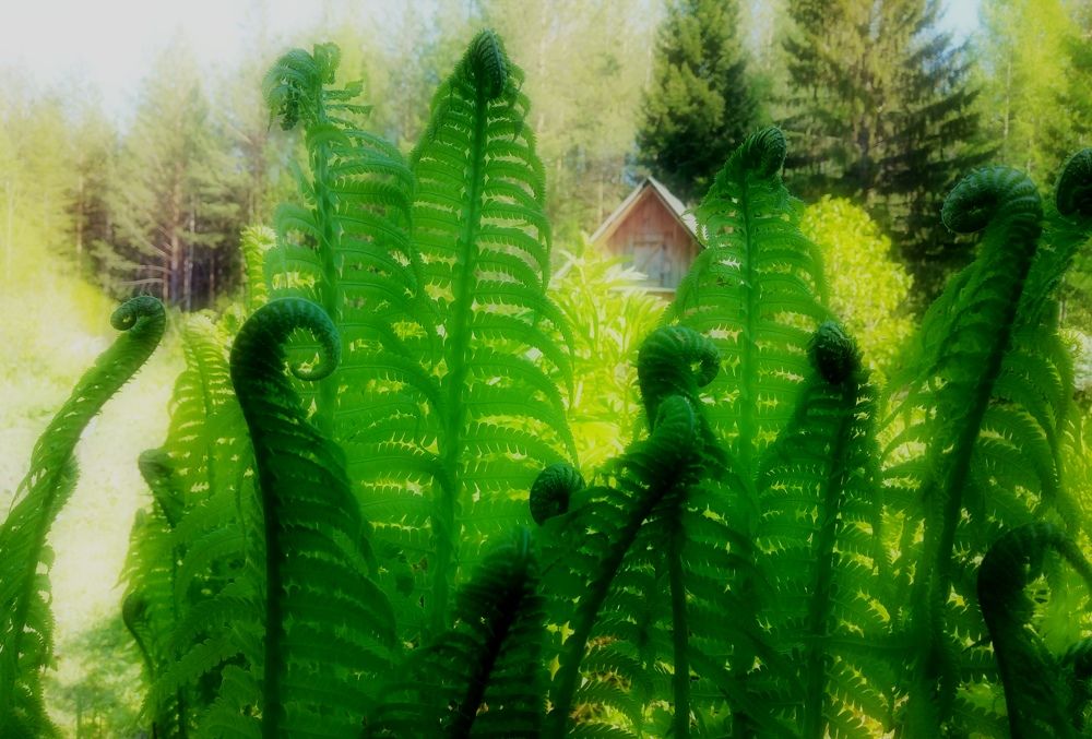 Photograph by Кирилл Попов