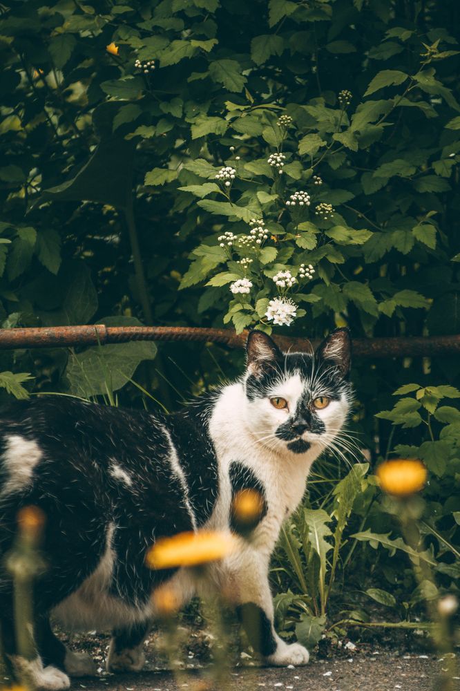 Photograph by Никита Серебряков