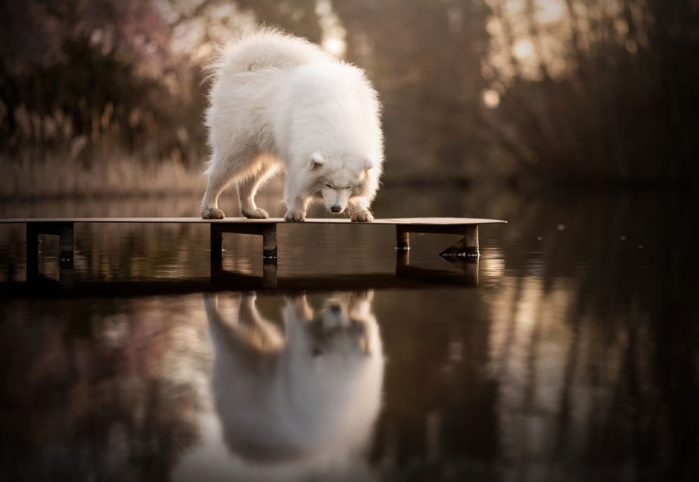 Photograph by Fleur Scholte