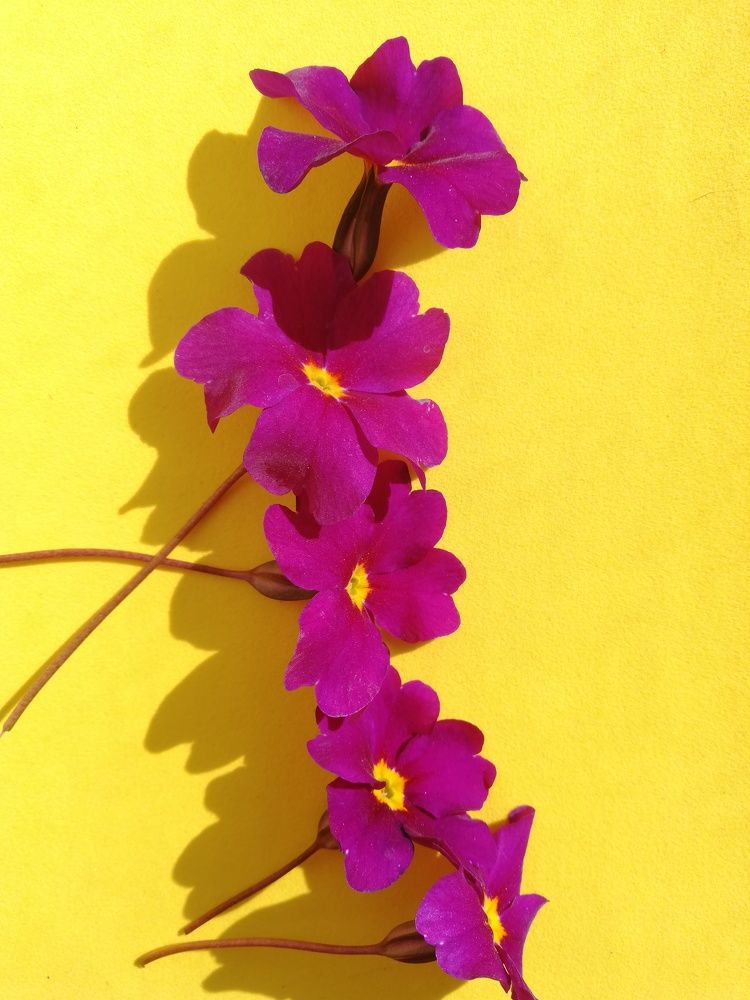 Photograph by Наталья S.