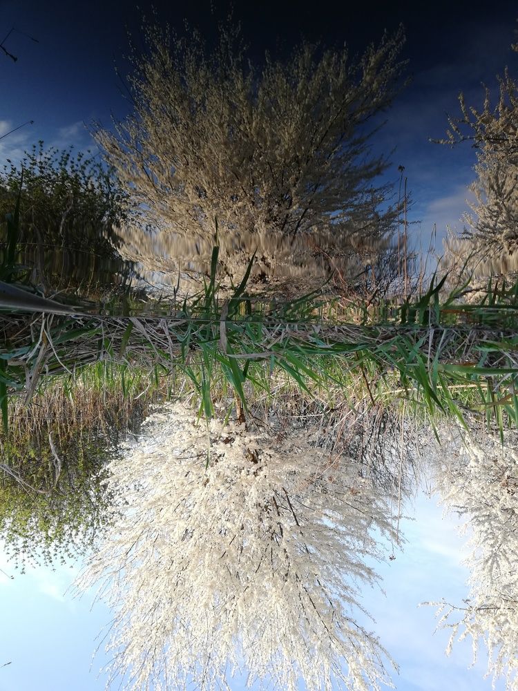 Photograph by Наталья S.