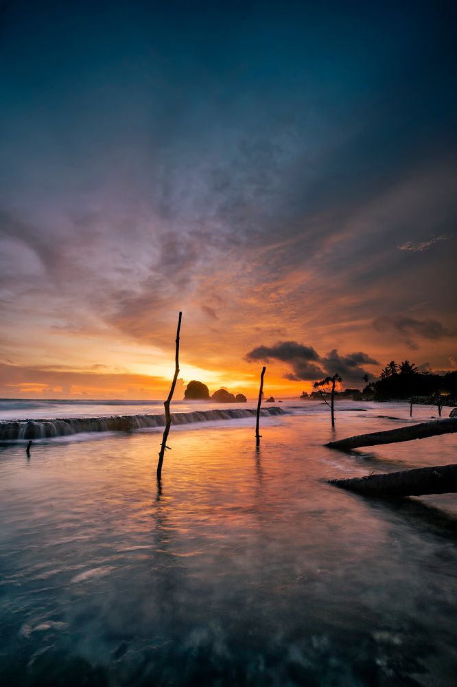 Фотография автора Amal Prasad