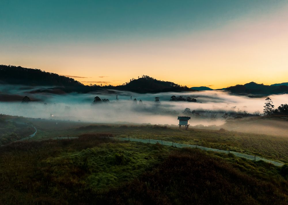 Фотография автора Amal Prasad