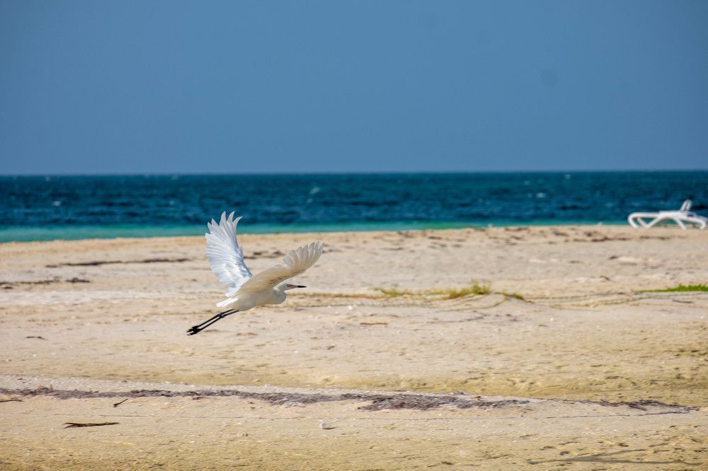 Photograph by Михаил Серебренников