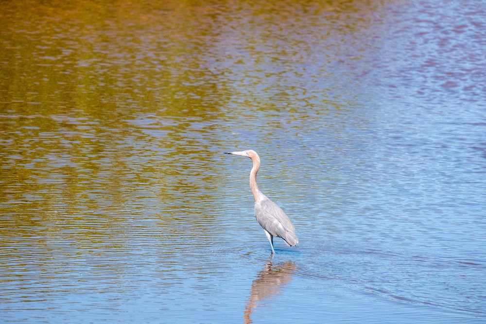 Photograph by Михаил Серебренников