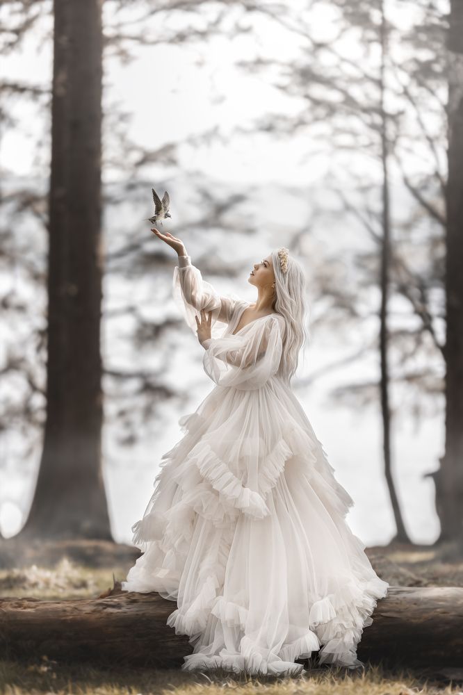 Photograph by Honorata Jabłońska