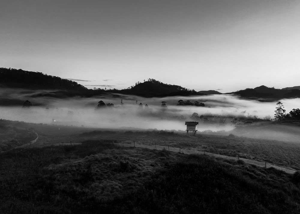 Фотография автора Amal Prasad