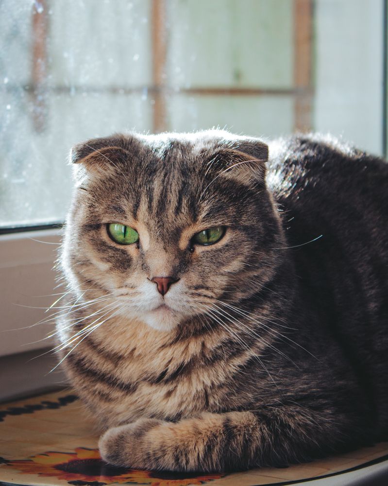 Photograph by Mikhail